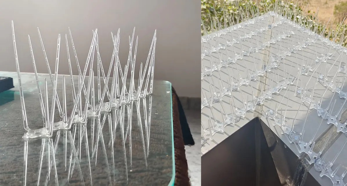 bird-spikes.php